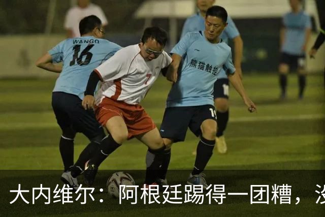 大内维尔：阿根廷踢得一团糟，没有梅西他们达不到这样的高度