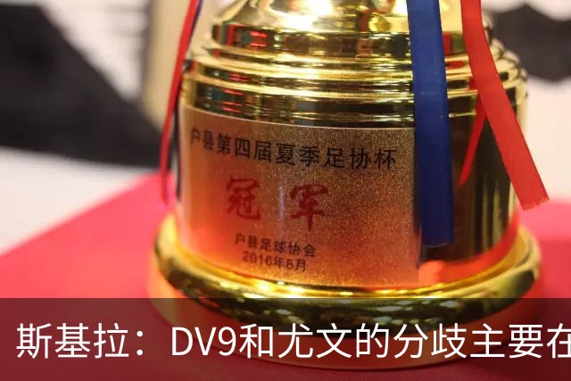 斯基拉：DV9和尤文的分歧主要在于佣金，球员索要800-1000万欧
