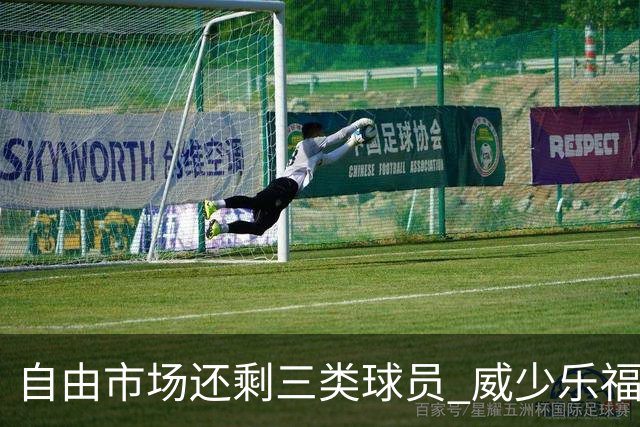 自由市场还剩三类球员 威少乐福领衔失业大军？